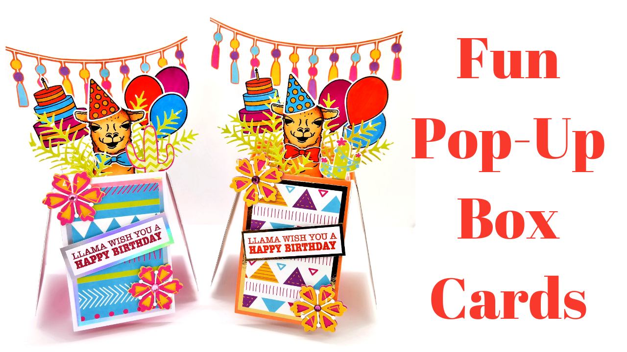 Fun Birthday Pop-Up Box Cards