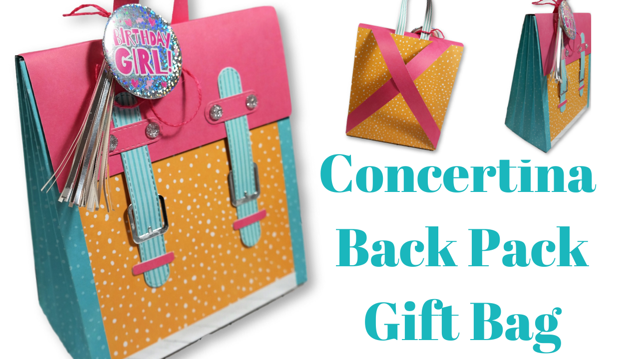 Awesome Concertina Back Pack Gift Bag!