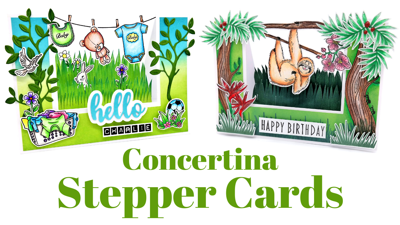 Fun Concertina Stepper Cards