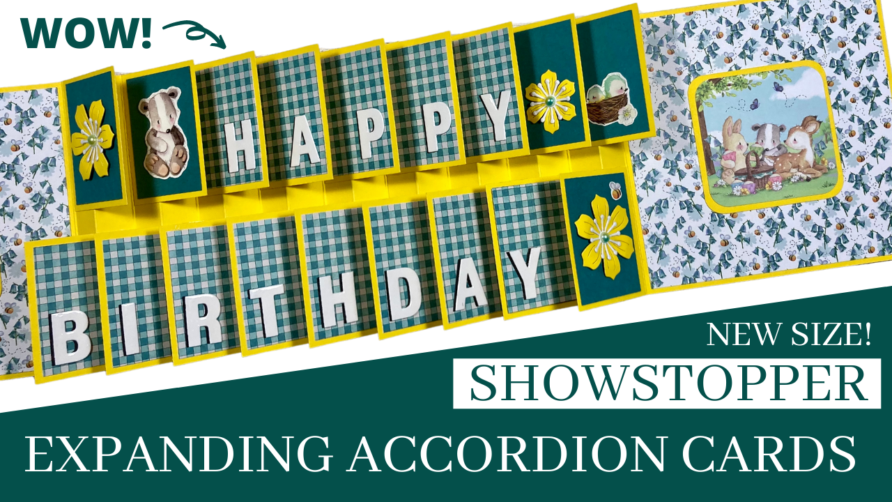 NEW SIZE! Expanding Accordion Cards