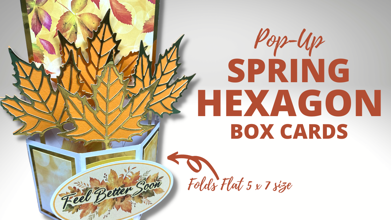 Pop-Up Spring Hexagon Box Cards